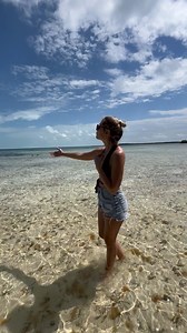 Los manglares de Cayo Largo del Sur 🇨🇺 | Viajamos Juntos