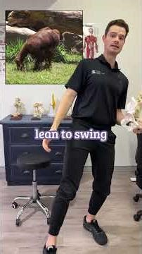 Why is lordosis so important in the human spine?