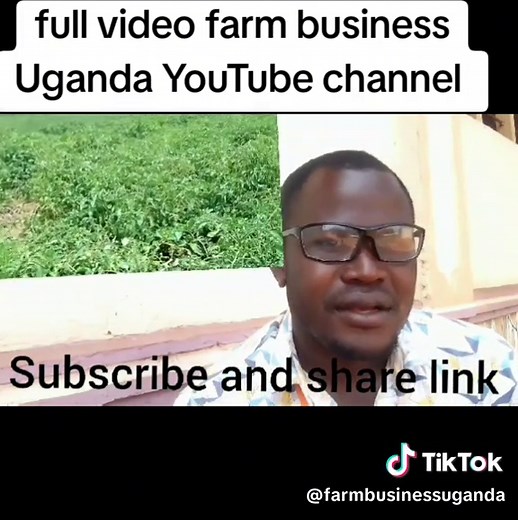 FARM BUSINESS UGANDA on TikTok