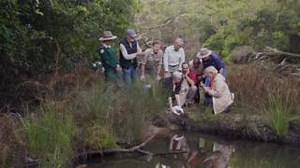 1.4K views | Lighting the way for nature's return! Our Ledlenser headlamps are aiding UNSW researchers as they monitor the rewilding of 10 platypuses in the Royal National Park. #Ledlenser #PowerUP #Rewilding #Nature #Platypus | Ledlenser | Facebook