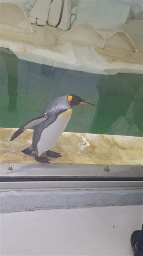 Zsolt Gombik on Reels