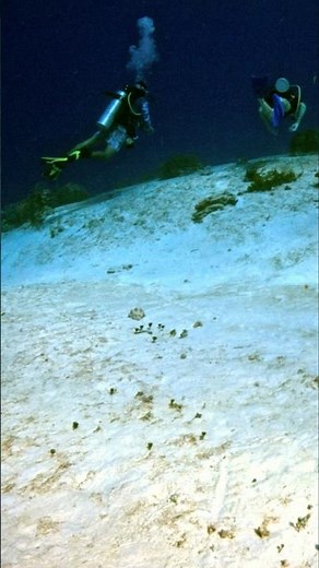 Drift Diving in Cozumel: can you feel it? #scubadiving #shorts