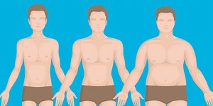 The 3 Body Types, Explained