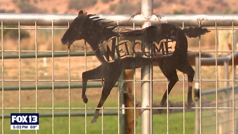 Washington wildfires continue to grow in Chelan County