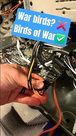 $40 PC Bird Combat #budgetpc #pcbuild #bazzite #gaming ‪@BirdsOfWarGame‬