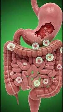 Ciprofloxacin: Mechanism, Benefits & Risks (Quick Medical Guide)Untitled 1