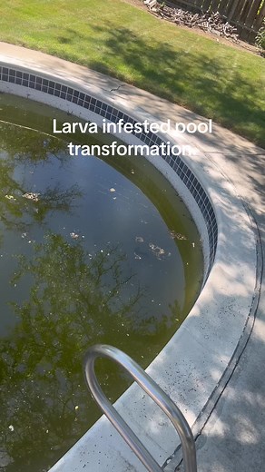 JoesPools (@joemckay23)’s video of Pool