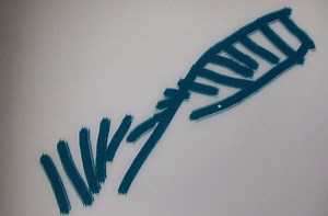 Evolution doesn't think you're special