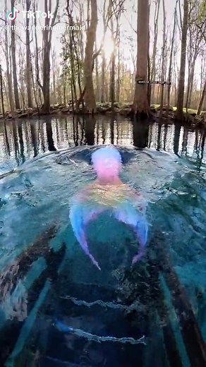 Let's escape reality together💦 #thewanderingmermaid #rainbow #mermaid #underwater #splash #purplehair #siren #swim #florida #mermaidhair #mermaidtail
