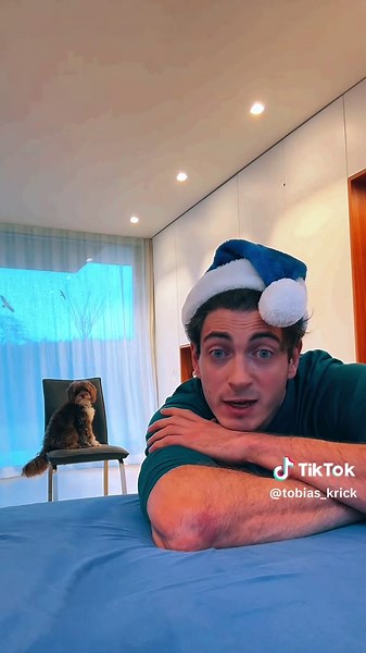 Celebrate a Merry Christmas with Your Dog