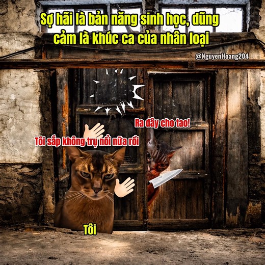Sợ hãi là bản năng sinh học, dũng cảm là khúc ca của nhân loại #meme #catmeme