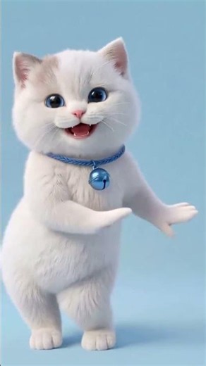 joget viral kucing #viral #funny