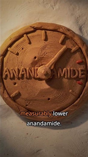 Your Brain Has a Fear Extinction System. PTSD Breaks It. Here's the Science.