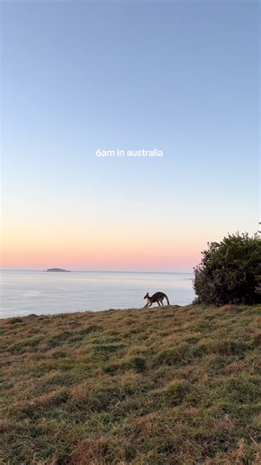 the best view 🦘🌅