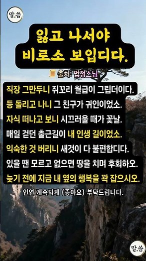 잃고 나서야 비로소 보입디다 #불교명언