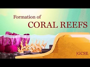 Coral Reefs Explained | GCSE Geography / AP Environmental Science | HRB Education