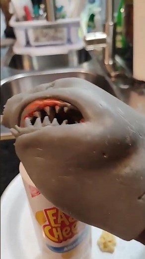 shark puppet eats cheese