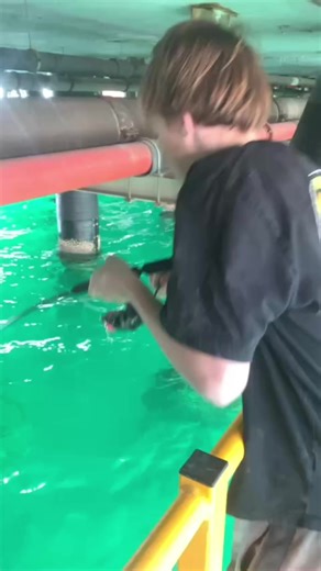 Catch of a Lifetime: My First Big Pink Fish