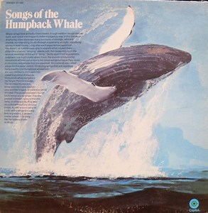Humpback Whale - Songs Of The Humpback Whale