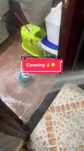 Cleaning Techniques for Collectible Figures