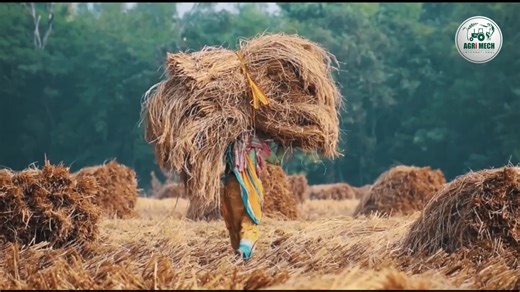 8th EIMA Agrimach India 2024, An International Exhibition & Conference on Agri- Machinery & Equipment from February 29– March 3rd, 2024 #agriculture #agribusiness #federunacoma #agrimech #farming #farmlife #farmersmarket #farmers #foodlovers #crop #education #field Tirth Agro Technology Pvt.Ltd.(Shaktiman)Rajkot Gujarat Friends BKT Tires FederUnacoma The Indo-Italian Chamber of Commerce and Industry (IICCI) Italian Trade Agency - Budapest | AGRI MECH | Facebook