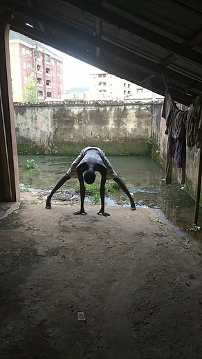 Dancing Spider: Viral Spider Meme Delights Audiences