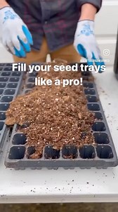 28K views · 3K reactions | It’s officially seed starting season...