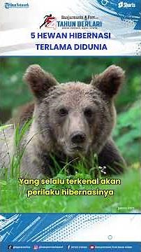 Not Just Bears, These Are the 5 Animals with the Longest Hibernation Periods in the World