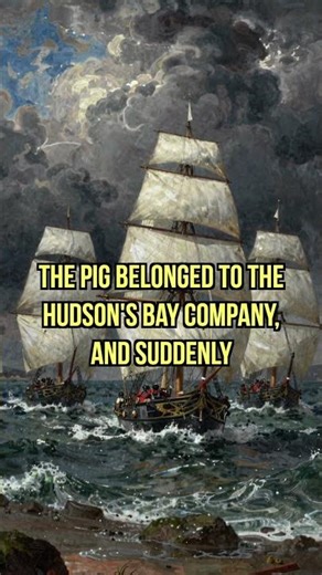 How A Pig Almost Started A War #shorts