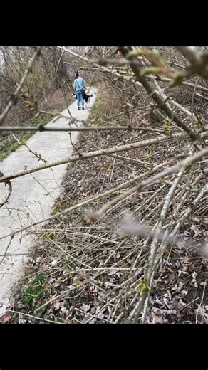 Master Chiefin on Instagram: "Beautiful day at the park"
