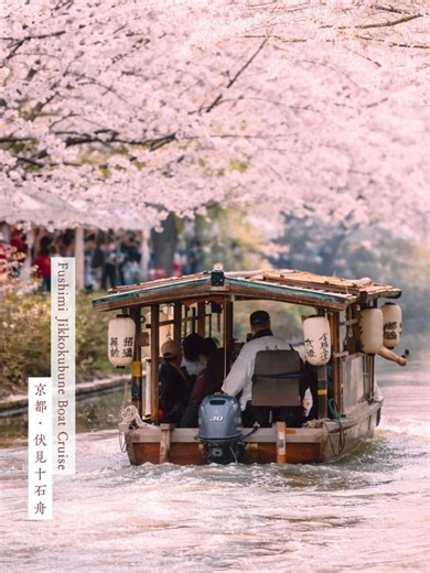 🚣‍♀️ Fushimi Jikkokubune Boat Cruise The Fushimi Jikkokubune is a traditional sightseeing boat that travels through the historic Fushimi district, an area once famous for its sake breweries and preserved townscape. As the boat gently cruises along the canal, visitors can enjoy scenic waterways and the charming atmosphere of old Kyoto from a unique perspective. During spring, cherry blossoms bloom beautifully along both banks, reflecting on the water and creating a breathtaking seasonal view. Th