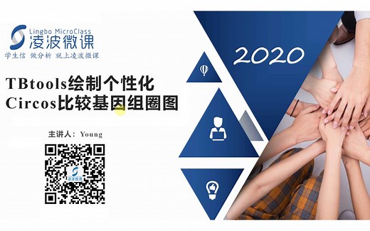 凌波微课-纯干货！TBtools绘制比较基因组Circos圈图