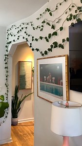 ¿Cómo crear una pared de enredaderas fácil? 🪴 Materiales: Ganchos de pared transparentes Cinta adhesiva Procedimiento: Utilizar los ganchos para crear una guía para las enredaderas. Rellenar huecos vacíos con la cinta adhesiva. ¡Y ahí lo tienes! | Tastemade Español