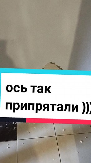 Damage Repair: Fixing a Plaster Wall