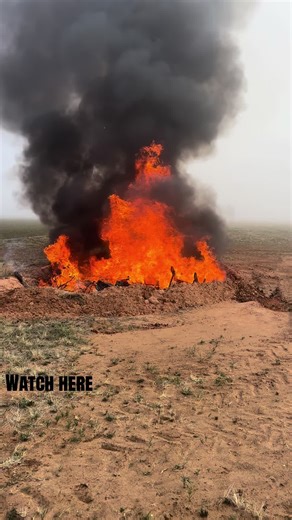 Cat Survives Bonfire in West Texas