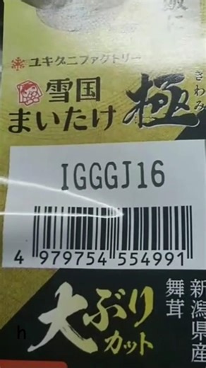 【まいたけ郷でス】調理時間が巻いたときや巻きたいときにご利用ください【雪国亭まいたけ】