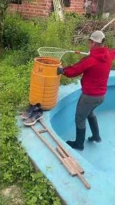 Man releases toads while cleaning pool in Buenos Aires, Argentina