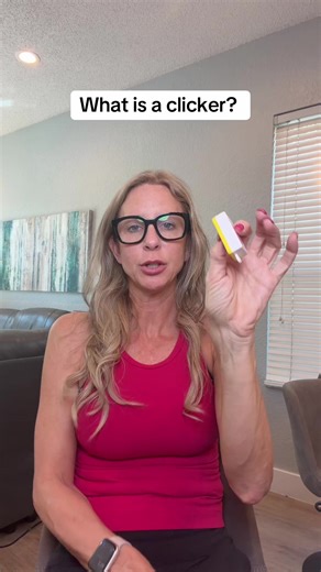 #fyp #dogtrainer #foryoupage | Clicker Dog Training