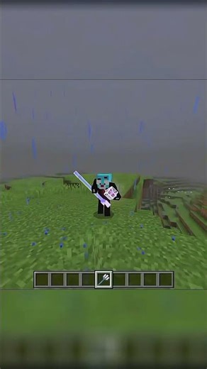 The Turtles' Hidden Secrets