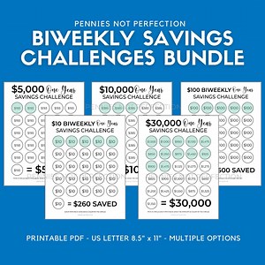 Biweekly Savings Challenge Bundle, Money Tracker Printables (PDF) - Etsy