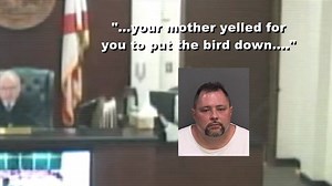 REST IN PEACE, PINKY: We're learning more about the man accused of attacking a flamingo at Busch Gardens; the animal had to be put down. Today, a judge called the act "beyond senseless...it actually borders on depraved." MORE: http://www.fox13news.com/news/local-news/184759964-story | FOX 13 News - Tampa Bay