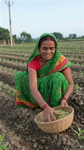 🌱 The Hard Work That Feeds A Family #farming #trending #viralvideo #agriculture #khetibadi