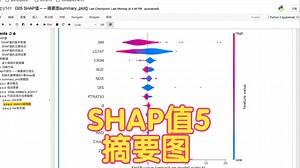 D05 SHAP值——摘要图summary_plot()