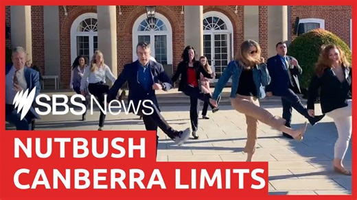 Tina Turner 'Nutbush' flash mob at Australian US Embassy