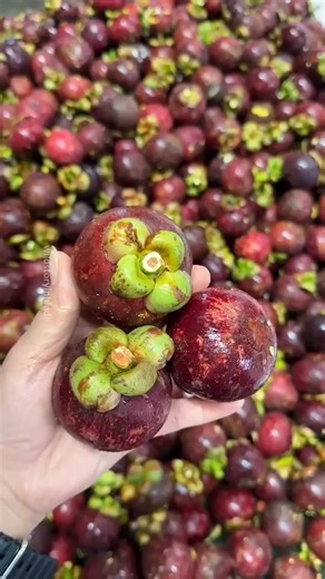 Top 10 Facts (@top10facts00)’s videos with original sound - Top 10 Facts