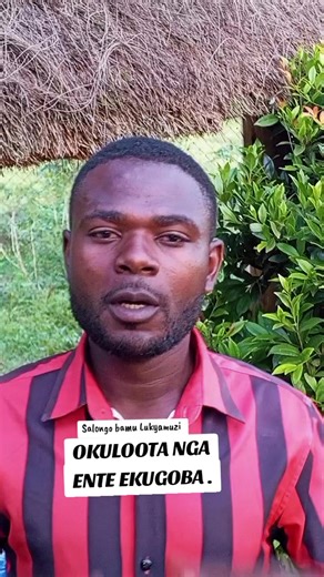 #bbamu #bamu #jajjabamu #bamweyana #ebilooto