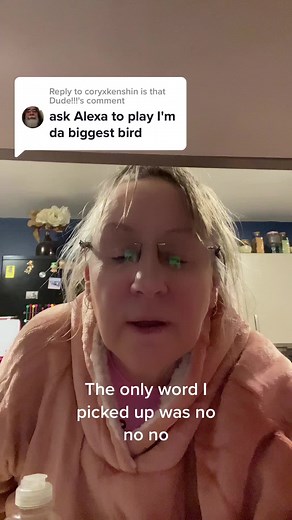 Alexa, Can You Play 'I'm the Biggest Bird'? ft. Side and I Amico | Jumpyaida Grandma Nettie