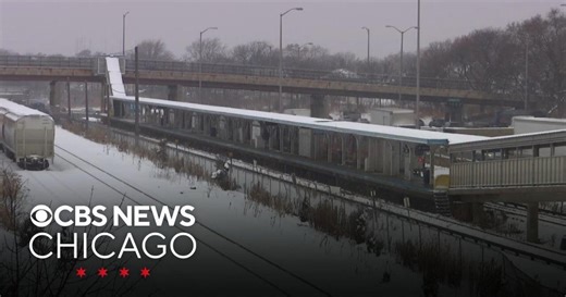 Man charged in Blue Line attack in Forest Park to be held in jail