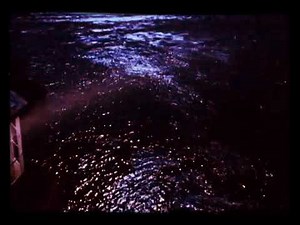 Casper: A Haunting We Will Go (1949/1995, Universal Print with 1995's Second Theatrical Trailer)