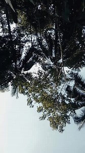 Someday, I will tell my Kids that this Man is the Best Presedent of My Generation.🫶 | Joven Landas